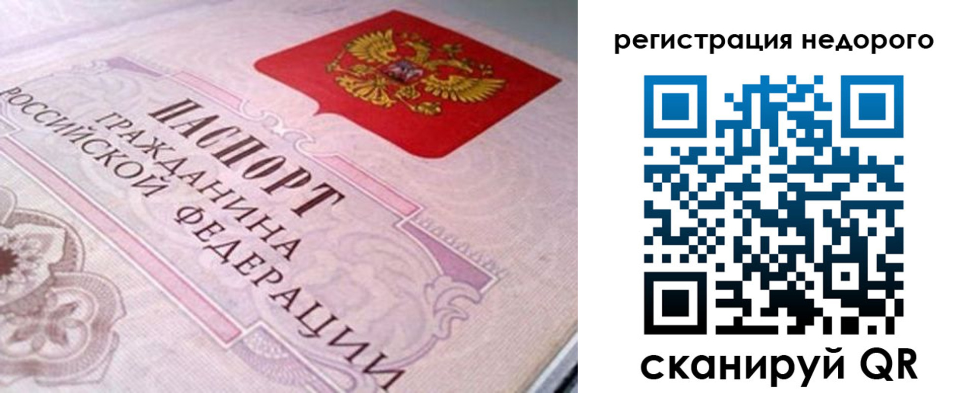 регистрация для дет. сада в Снежногорске